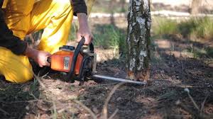 Mulching Services in Noble, OK