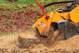 Best Tree Removal  in Noble, OK